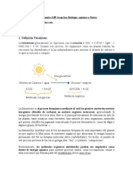 Experimento ABP Traga Luz