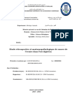 Etude Rétrospective Et Anatomopathologique de Cancer de L'ovaire Dans L'est Algérien