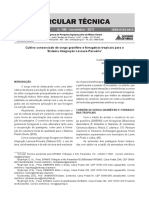 ILPF - Cultivo Consorciado Sorgo Granífero e Forrageiras Tropicais-C.T. Nª 146-2011 EPEMIG