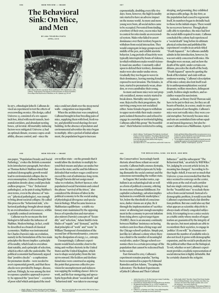 The Behavioral Sink | PDF | Mouse | Economics