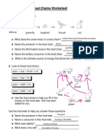 Food Webs and Food Chains Worksheet PDF