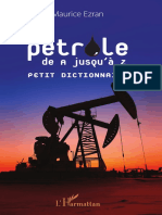 Extrait Lettre a Dictionnaire Petrole