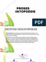 Proses Hematopoesis