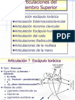 Resumen Articulaciones Del Miembro Superior