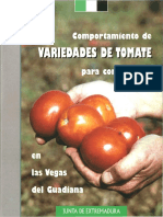 Variedades Tomate Concentrado