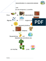 Actividades Inicial Semna 12