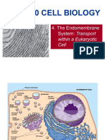 BIOL2120 4 Endomembrane System