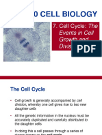 BIOL2120 7 Cell Cycle