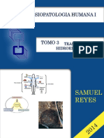 Morfofisiopatologia i Unidad III Samuel Reyes