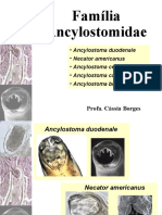Ancylostomideos