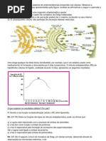 e d Sistema Endosplasmatico