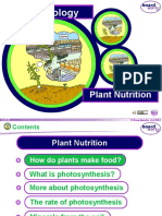 KS4 Biology: Plant Nutrition
