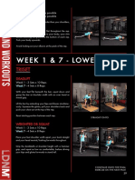 Week 1 & 7 - Lower