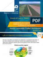 Tarea 4_proyecto_Alexis Leonardo Cediel