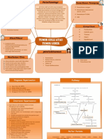 LP Tumor Colli