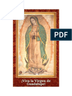 Cuadro Virgen de Guadalupe He 2021