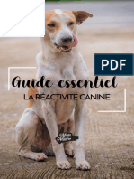 Guide Essentiel - La Réactivité Canine