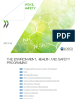 OECD Environment Health Safety Brochure