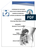 Fistulas Intestinales