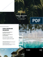 Brochure Digital Petra