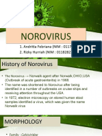 Noro Virus