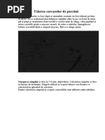 Tăierea Și Scurgerea Singelui a Carcaselor de Porcină