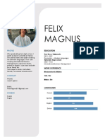 CV Felix Magnus