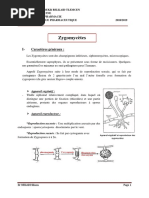 04 - Zygomycètes