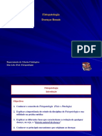 Doenças Renais: Fisiopatologia e Diagnóstico