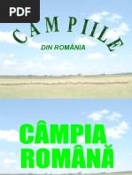 Cupdf.com Campiile 568e20fa2209c