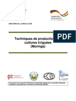 Techniques de Production Des Cultures Irriguées (Moringa) : Republique Du Niger
