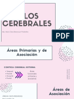 LÓBULOS CEREBRALES