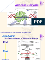 RNA_Polymerase 1 Class