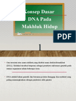 DNA REPLIKASI