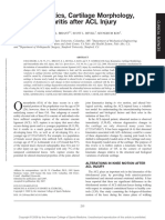 Knee Kinematics, Cartilage Morphology, and Osteoarthritis After ACL Injury