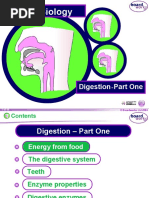 KS4 Biology: Digestion Part One