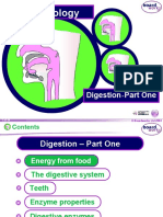 KS4 Biology: Digestion Part One