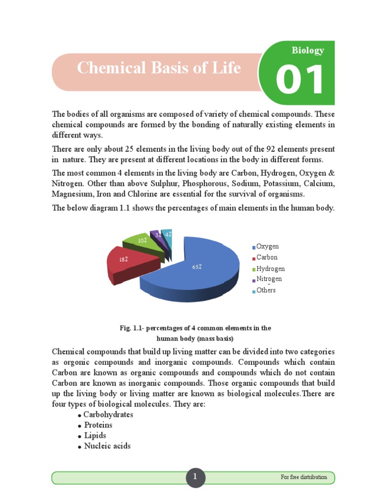 Chemical Basis of Life (Zoology) PDF Polysaccharide Carbohydrates