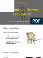 Aula 02 - Anatomia Do Sistema Esquelético.