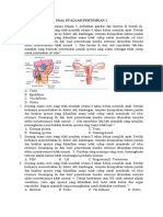 Soal Evaluasi Pertemuan 1-4