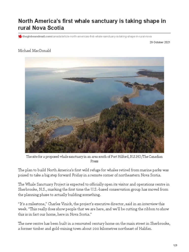 North America's First Whale Sanctuary in Nova Scotia | PDF | Killer ...