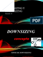 Downsizing y Rightsizing