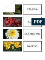 Variedaddeflores