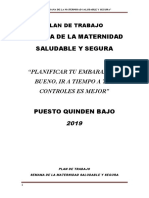 Plan de Trabajo Semana de La Maternidad