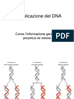 7-La replicazione del DNA BS