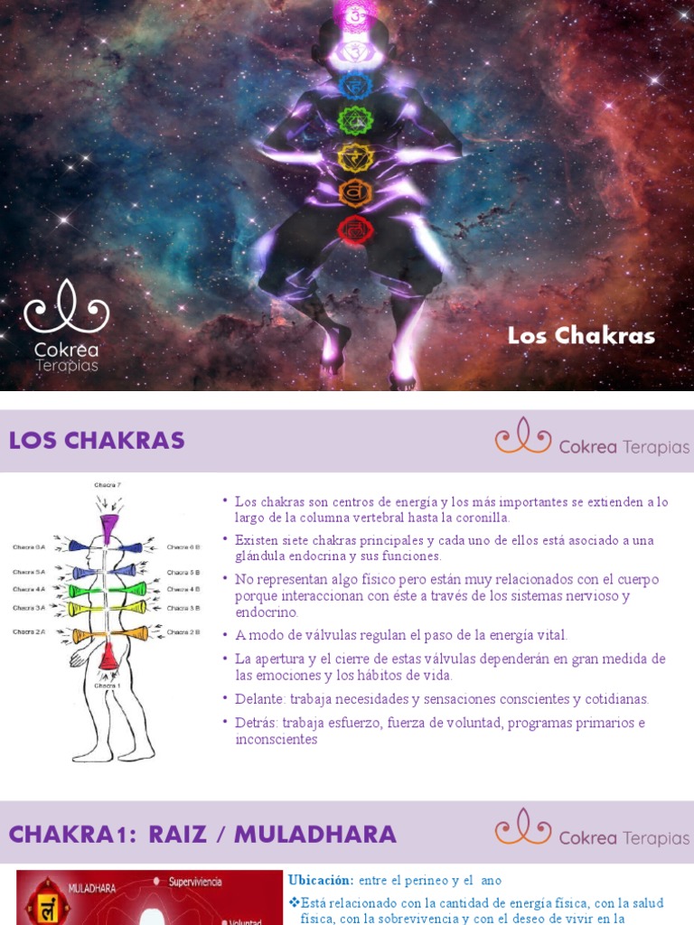 Guía Completa sobre los Chakras | PDF | Amor | Las emociones