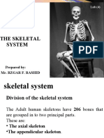 The Skeletal System: Rzgar F. Rashid