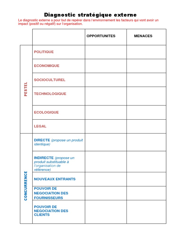 Tableau De Caracterisation Stmg Management Diagnostic Stratégique Externe (Tableau) | PDF