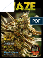 Revista Haze 2