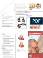 PDF Leaflet Menyusui 2 DL - Dikonversi